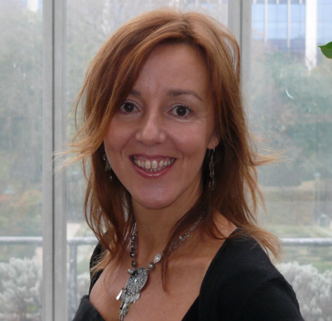 CV Sonia Pinto Ferro - copie