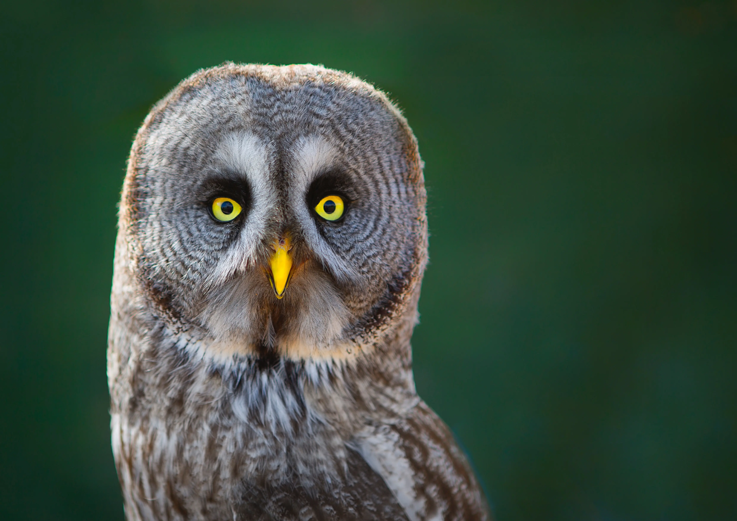 dave-francis-AgE_DAz_a6A-unsplash