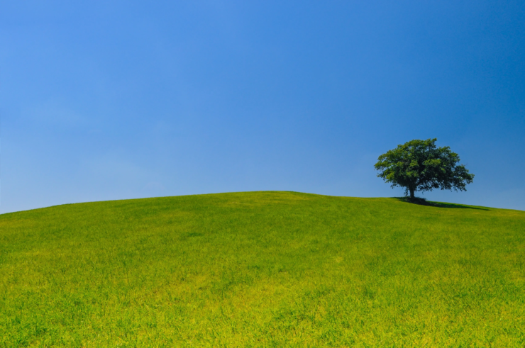 landscape-tree-nature-grass-outdoor-horizon-942694-pxhere.com - copie