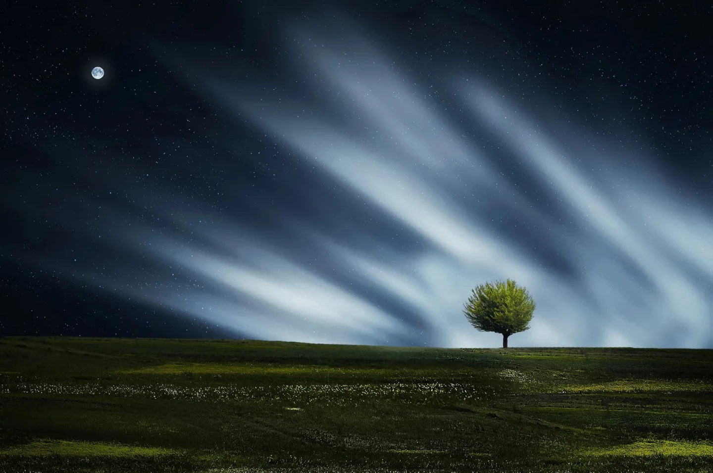 landscape-tree-water-nature-outdoor-light-1231032-pxhere.com